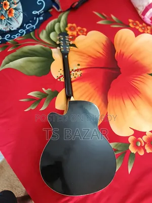 গিটার ব্যবহার করা এক বছর সব তার কটা এবং ভালো গিটার