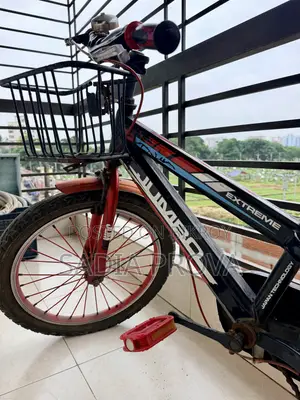 Kids Bicycle