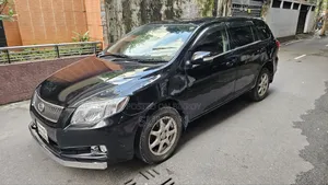 Toyota Corolla Fielder 2009 Black
