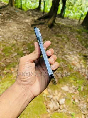 Apple iPhone 13 Pro 256 GB Blue