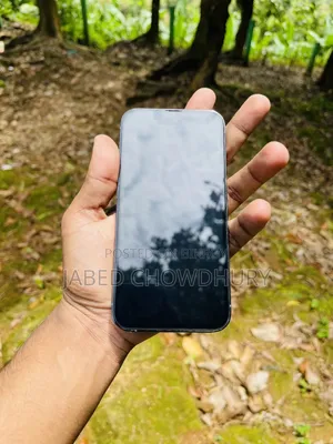 Apple iPhone 13 Pro 256 GB Blue