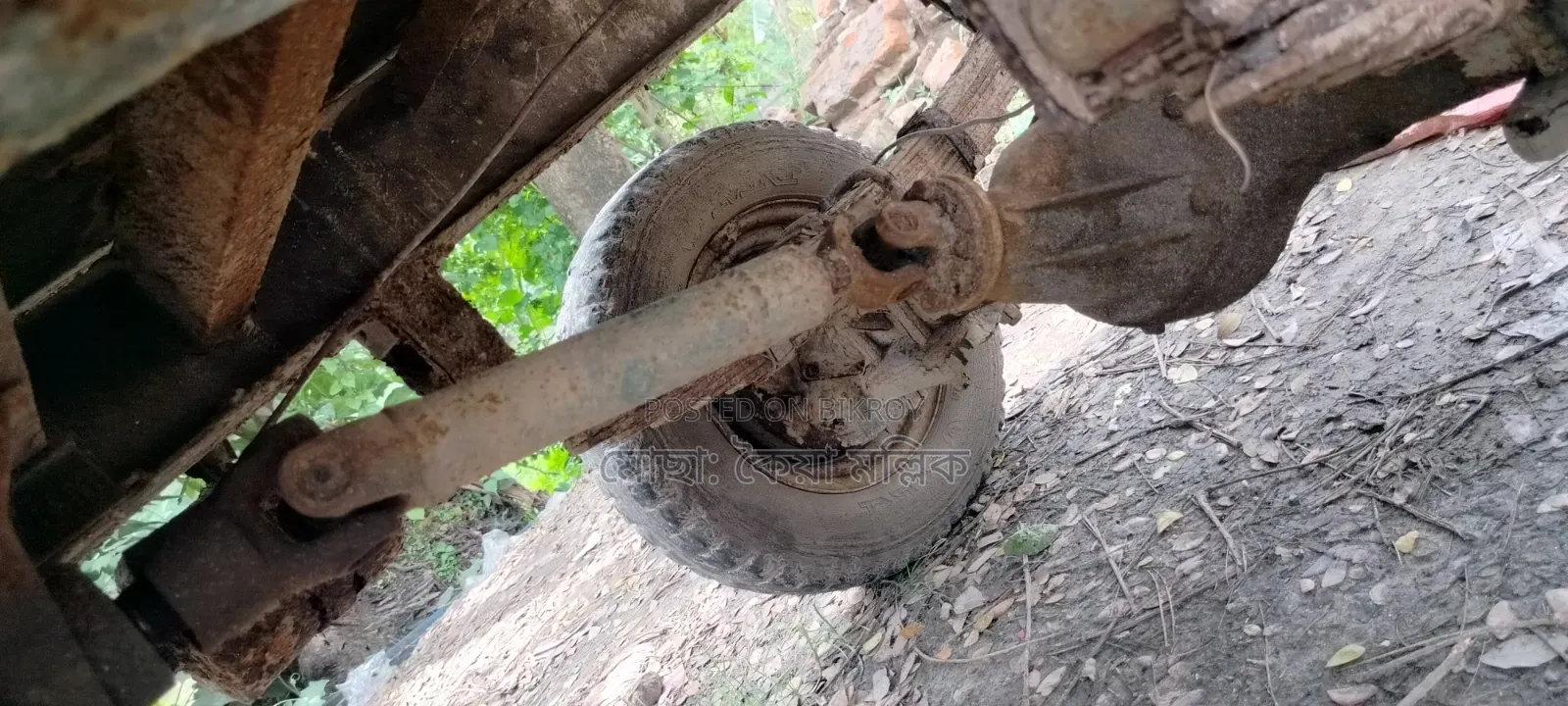টলি বিক্রি হবে
