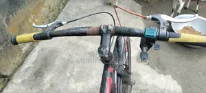 ইলেকট্রিক সাইকেল