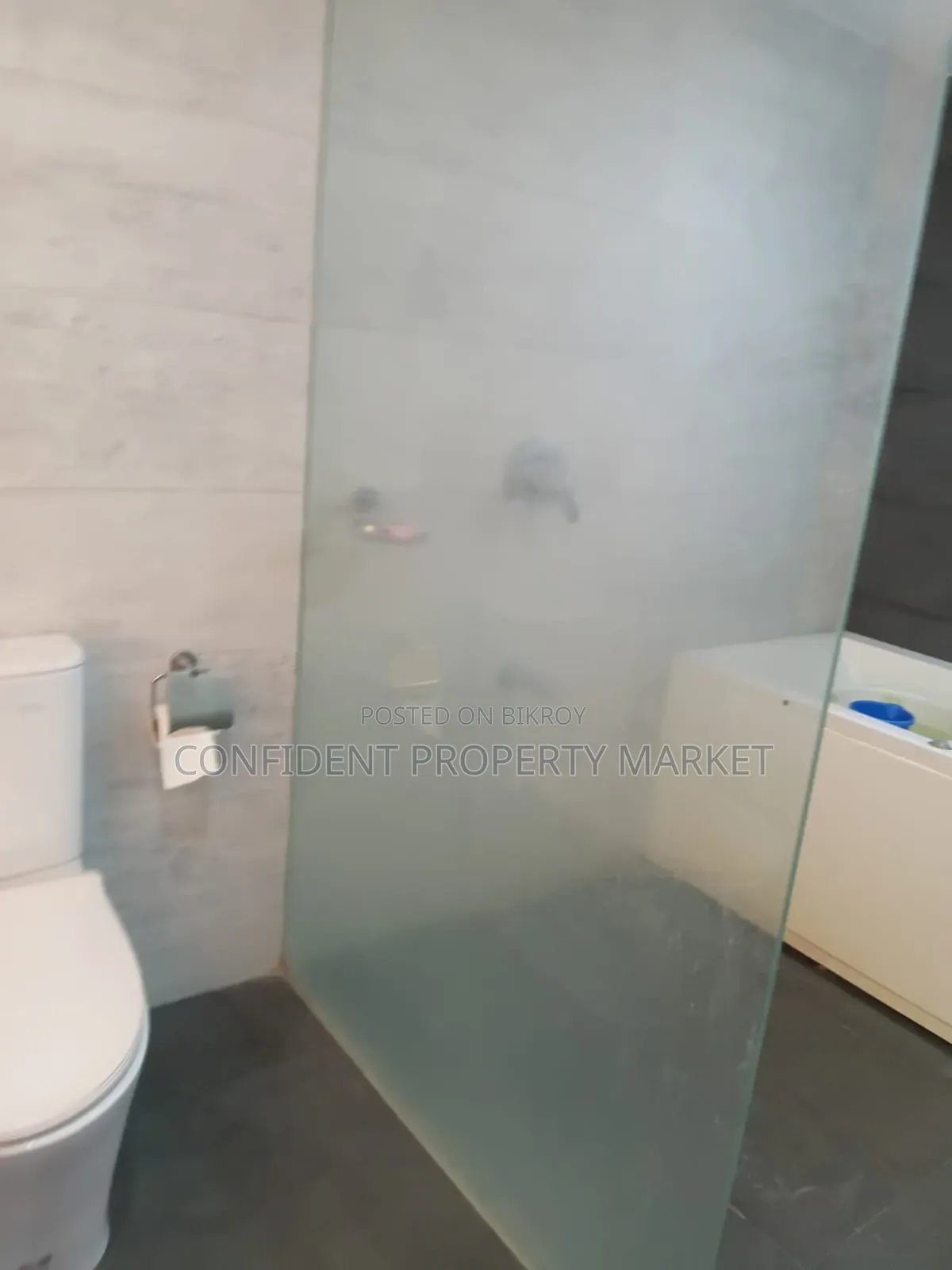 Furnished 4bdrm Apartment in Baridhara for rent