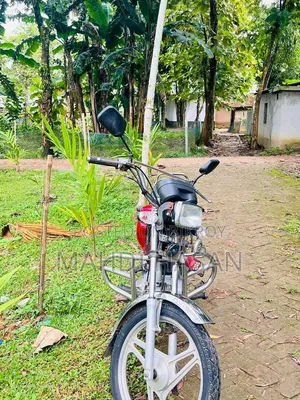 Dayun DY100-A 2015 Red