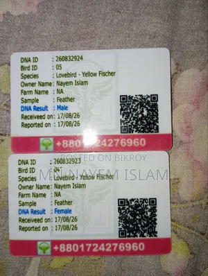 নিউ এডাল ইয়েলো ফিশার