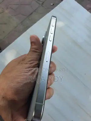 Apple iPhone 15 Pro Max 256 GB Silver