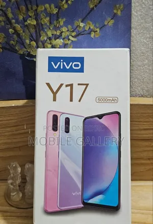 New Vivo Y17 256 GB