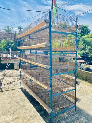কোয়েল পাখির খাঁচা ৫০০