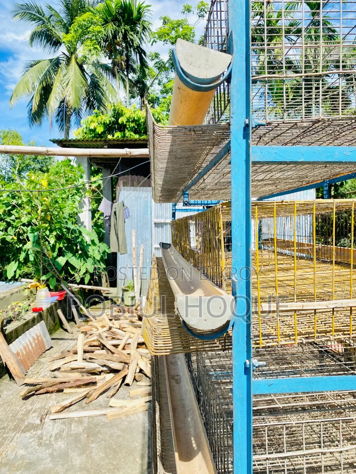 কোয়েল পাখির খাঁচা ৫০০