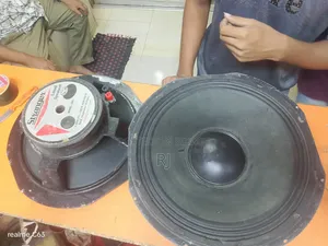 স্পিকার ১৫