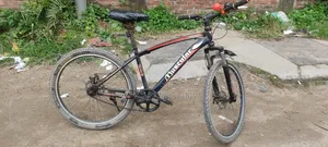 Bicycle 26"
