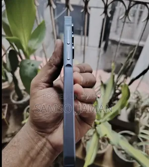 Samsung Galaxy A55 256 GB