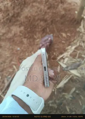 Xiaomi Redmi Note 13 128 GB Gold