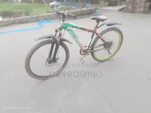 বাই সাইকেল