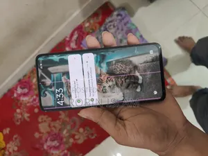 Xiaomi 12 Lite 128 GB Green