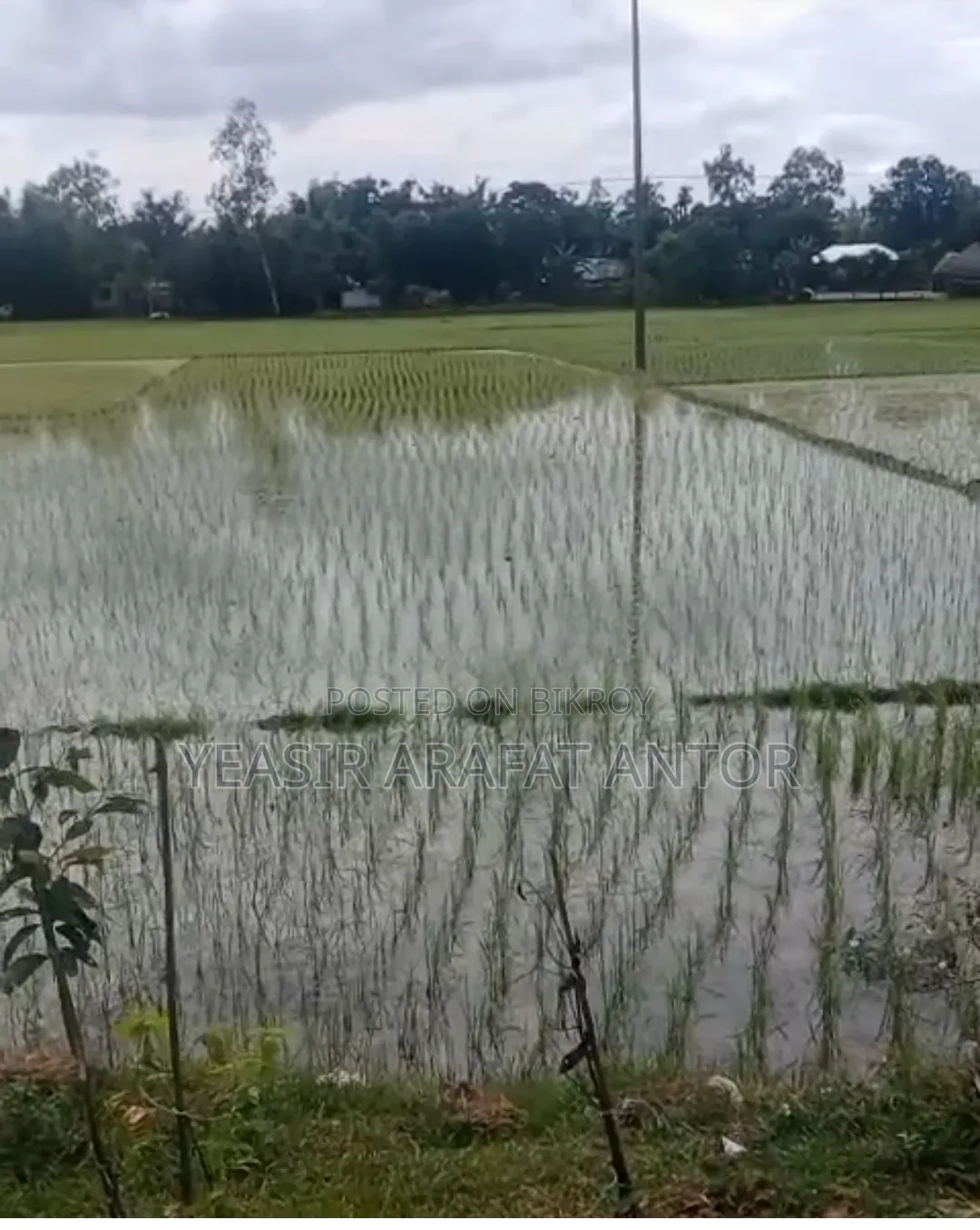 সৈয়দপুর এয়ারপোর্টে দক্ষিণে হাইওয়েসাথে ৪৪ শতকের জমি বিক্রি করা হবে