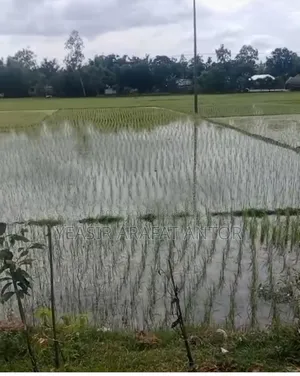 সৈয়দপুর এয়ারপোর্টে দক্ষিণে হাইওয়েসাথে ৪৪ শতকের জমি বিক্রি করা হবে