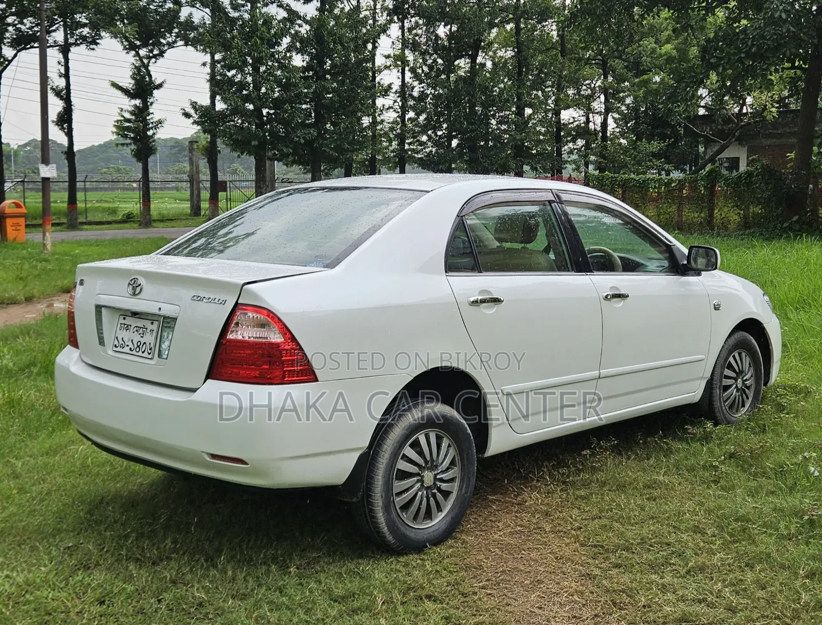 Toyota Corolla 2004 Pearl