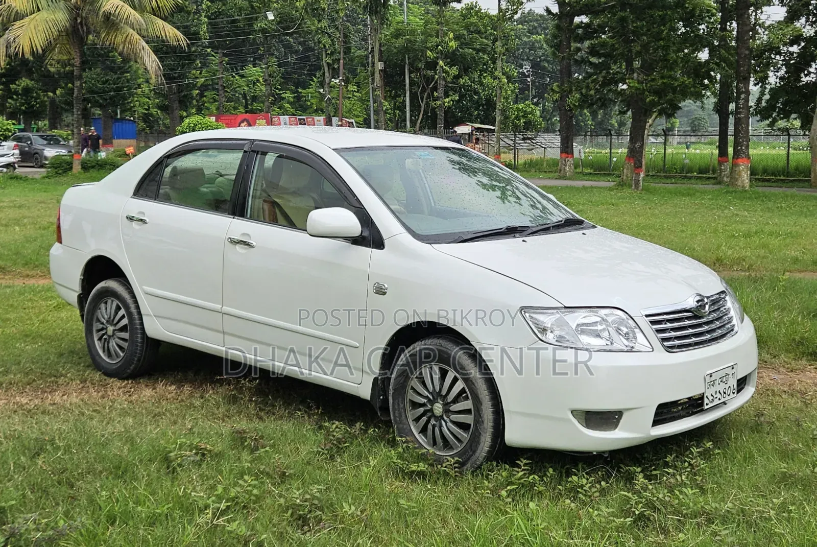 Toyota Corolla 2004 Pearl