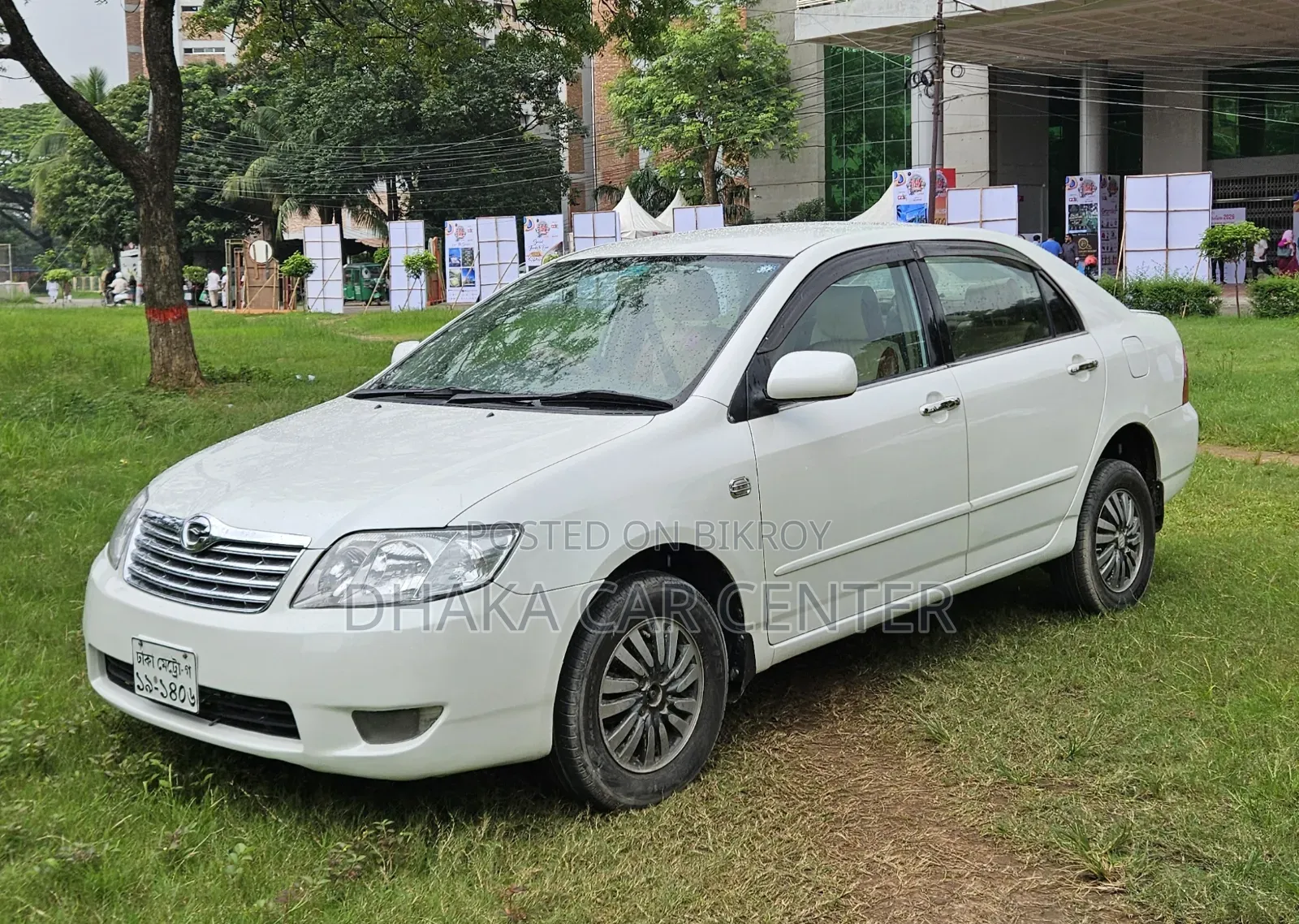 Toyota Corolla 2004 Pearl