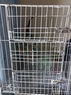 খাচা বিক্রি হবে