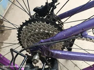 Sound hub. Oil Brake. 9 Speed, Expensive Crank, Borarse Rim