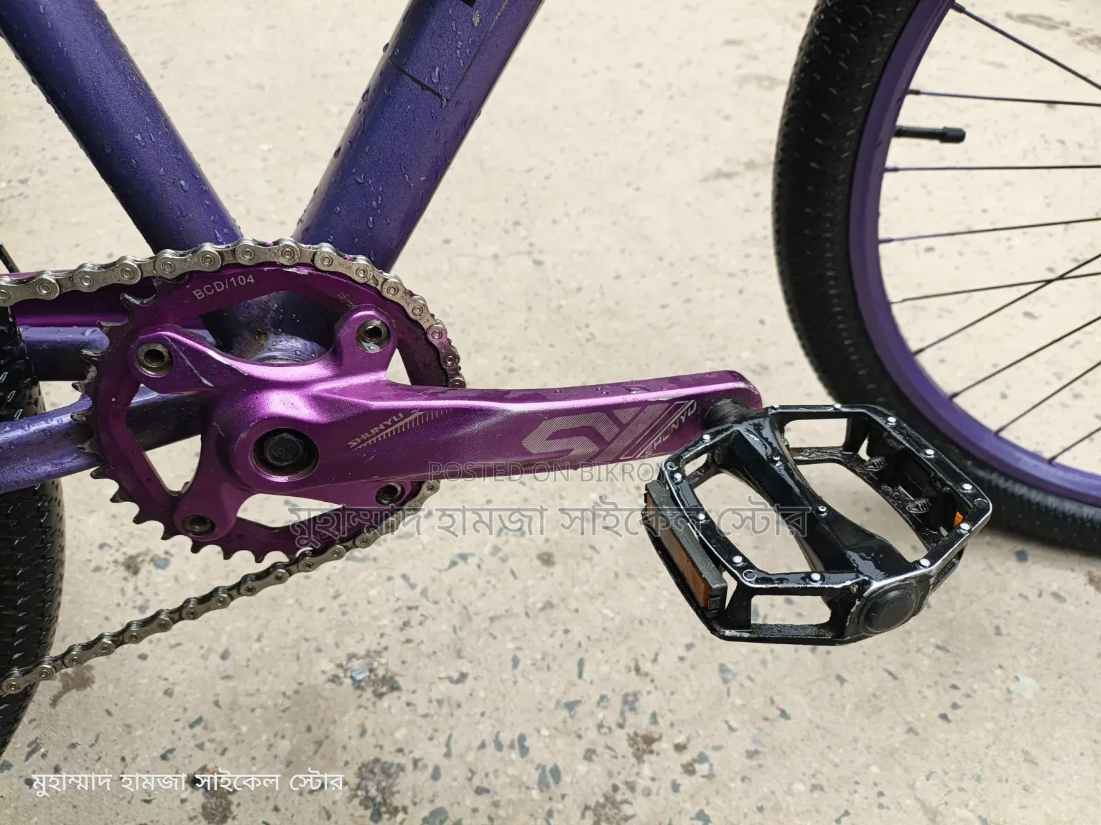 Sound hub. Oil Brake. 9 Speed, Expensive Crank, Borarse Rim