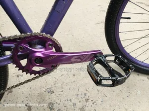 Sound hub. Oil Brake. 9 Speed, Expensive Crank, Borarse Rim