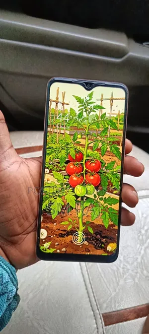Oppo A73 64 GB Orange