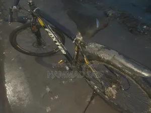 Fresh Condition Bicycle for Sell!!