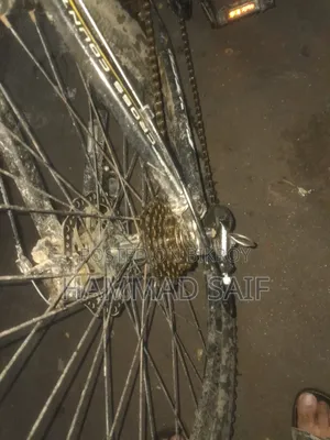 Fresh Condition Bicycle for Sell!!