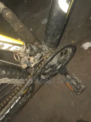 Fresh Condition Bicycle for Sell!!