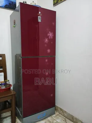LG Butterfly Eco+ Fridge