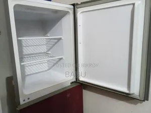LG Butterfly Eco+ Fridge