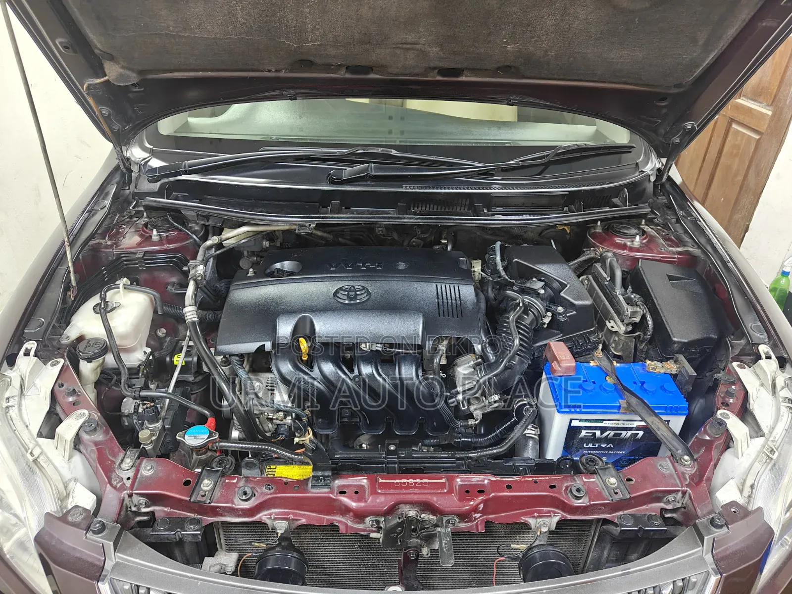 Toyota Premio 2010 Maroon