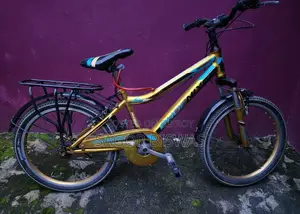 Bicycle Gold Color