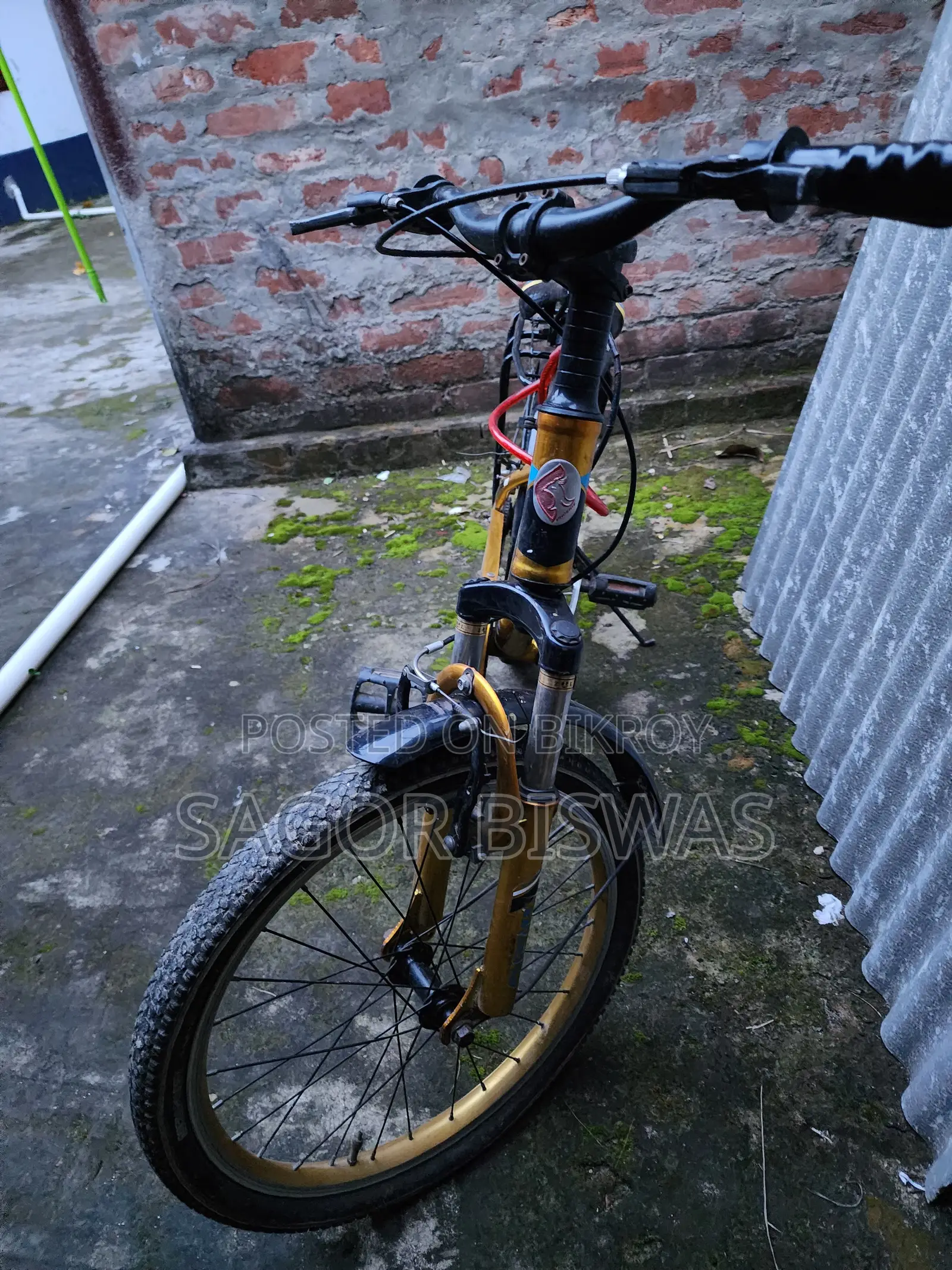 Bicycle Gold Color