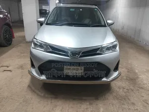 Toyota Axio 2018 Silver