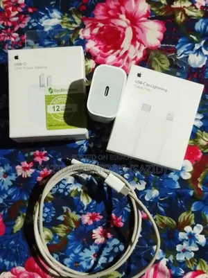 Apple Charger