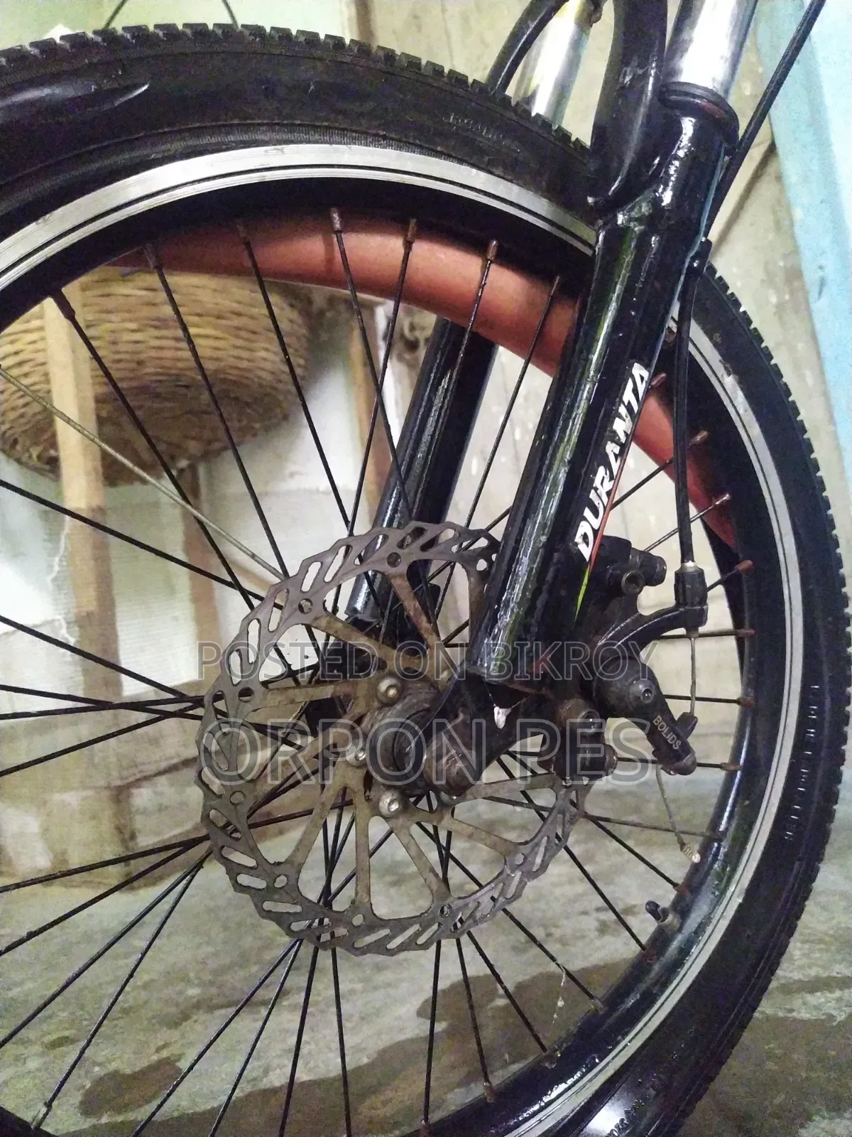 20 Inch Cycle