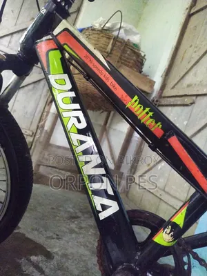 20 Inch Cycle