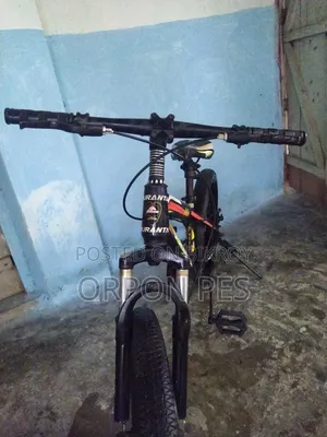 20 Inch Cycle