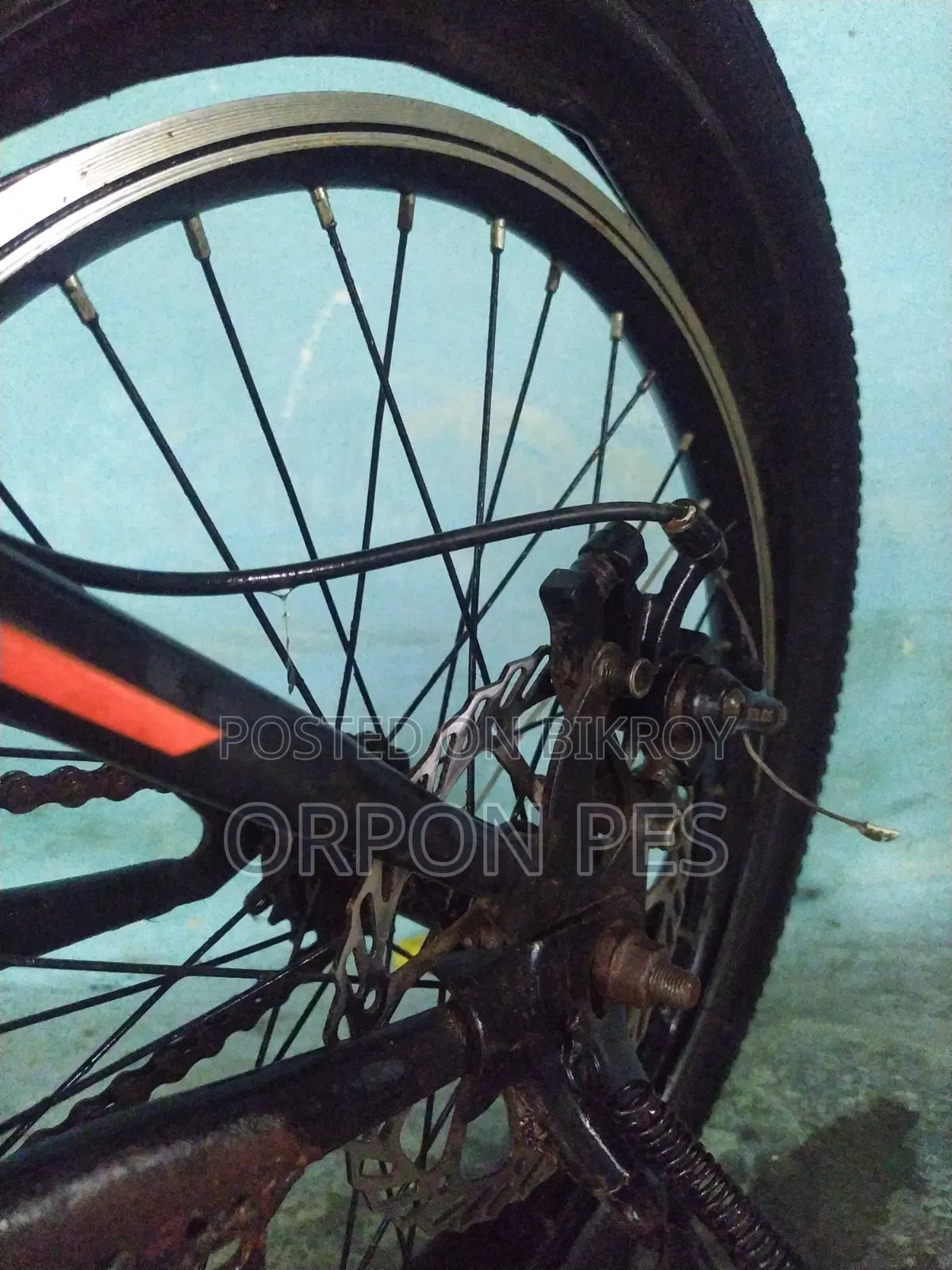 20 Inch Cycle