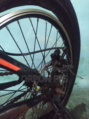 20 Inch Cycle