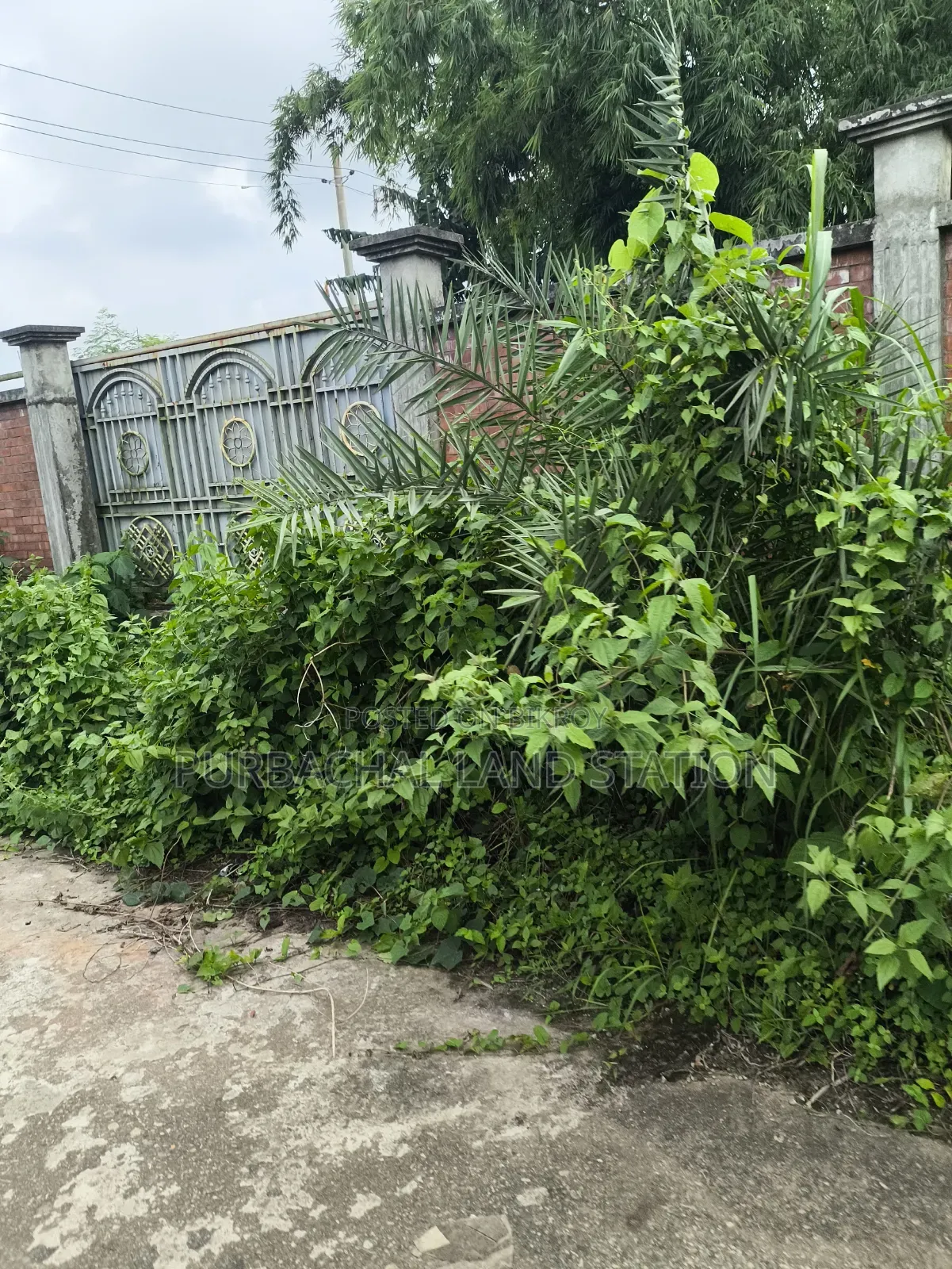 Sector:27,East Face 3 Katha Plot Urgent Sale in Purbachal