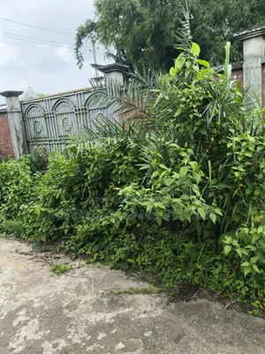 Sector:27,East Face 3 Katha Plot Urgent Sale in Purbachal