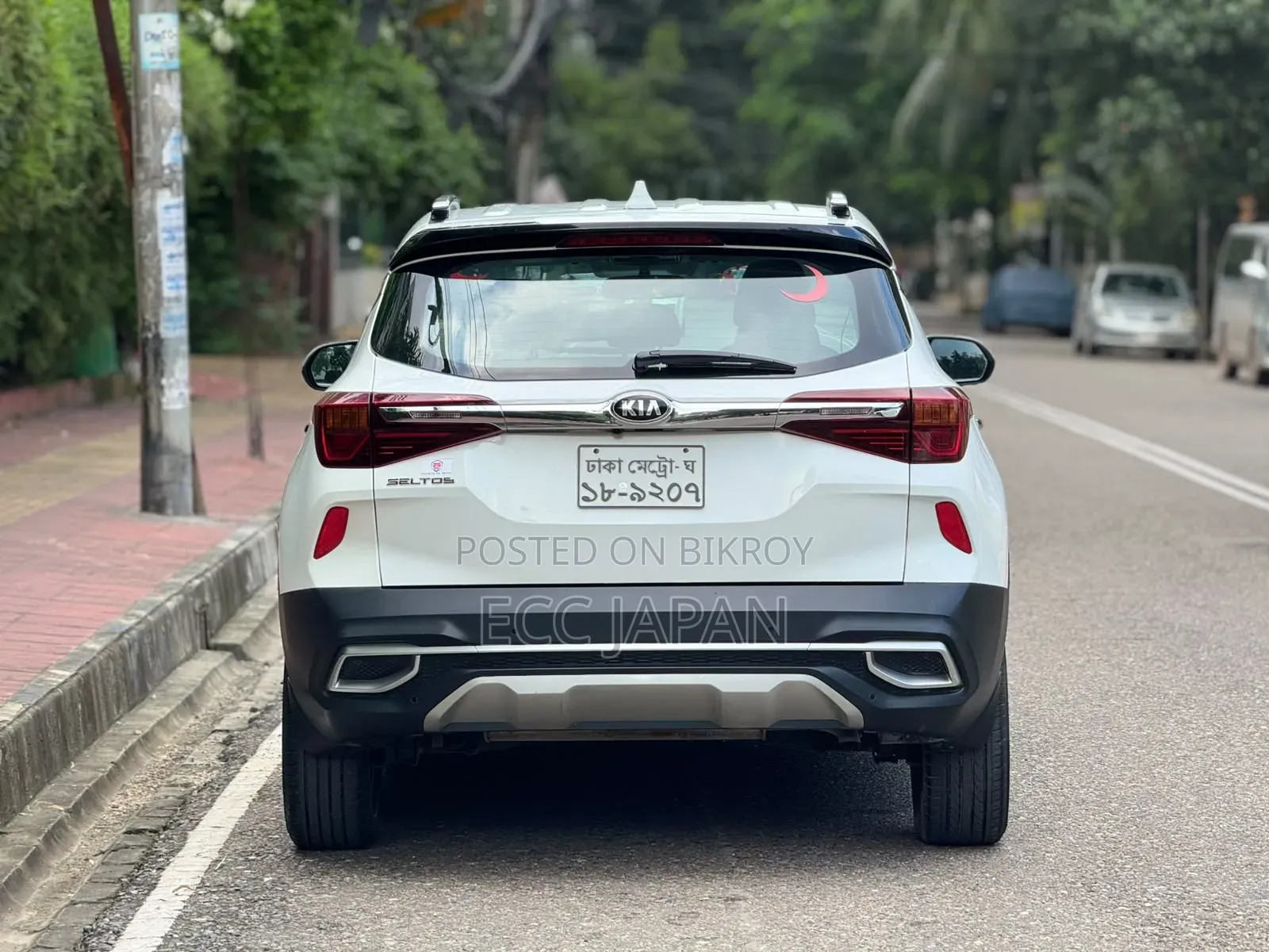 Kia Seltos 2019 Pearl