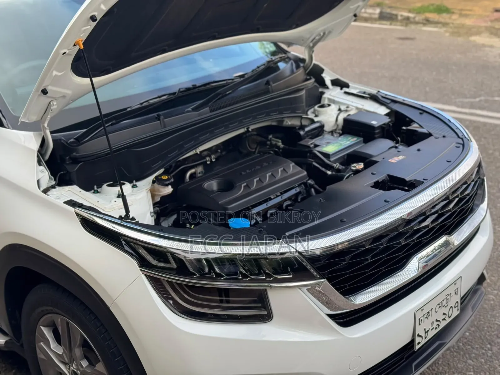 Kia Seltos 2019 Pearl