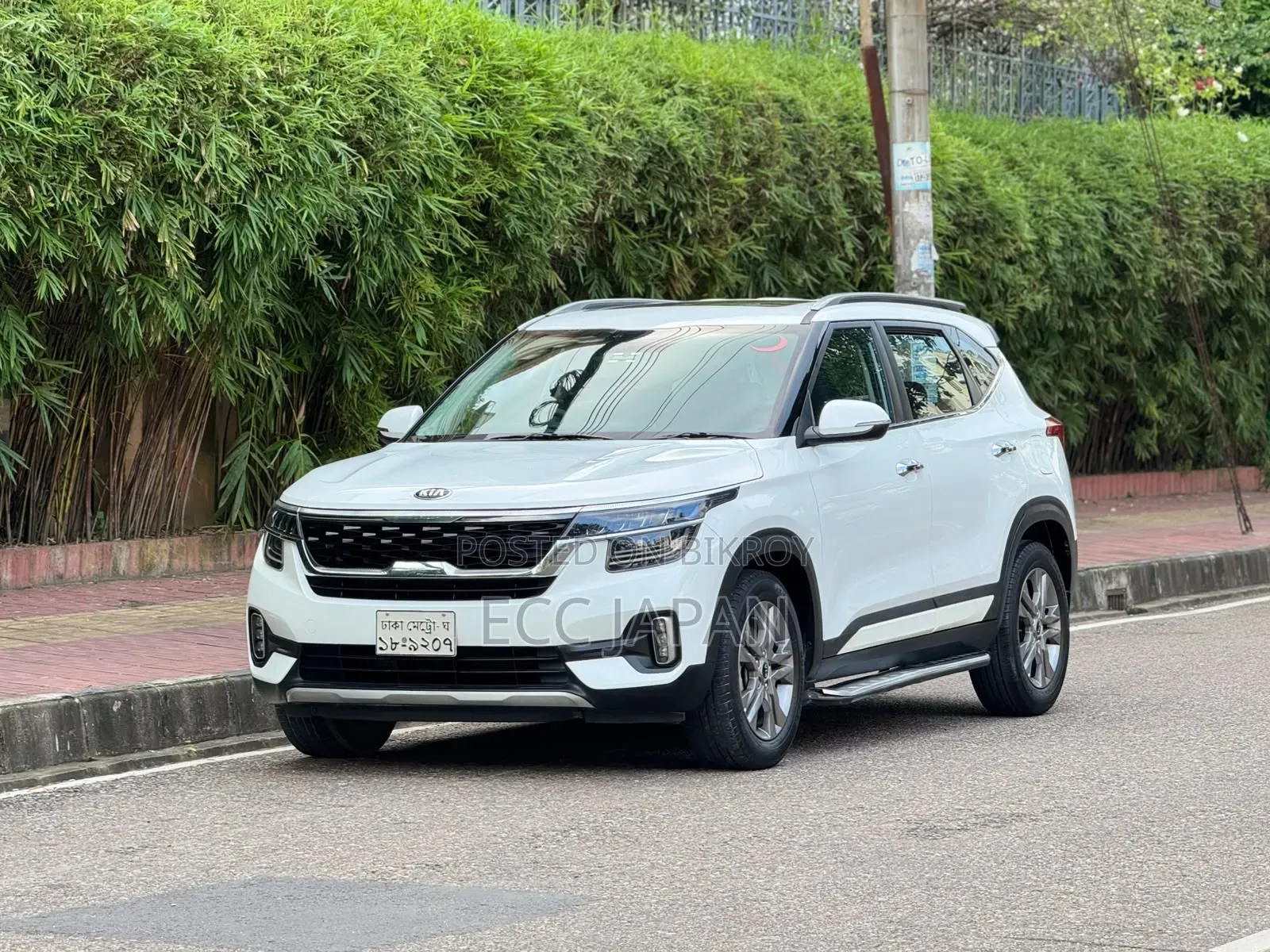 Kia Seltos 2019 Pearl